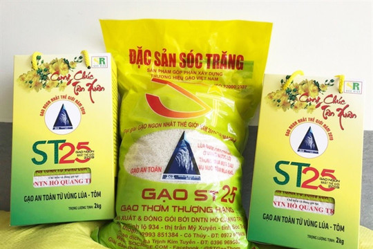 Gạo ST24, ST25 được ưu đãi thuế xuất EU là không chính xác