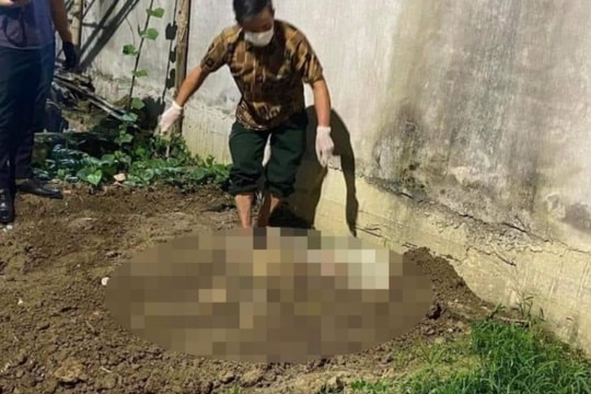 Nữ sinh bị bạn trai sát hại, chôn thi thể ở vườn chuối