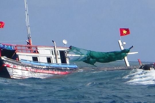 Thanh Hóa: 8 ngư dân gặp nạn trên biển
