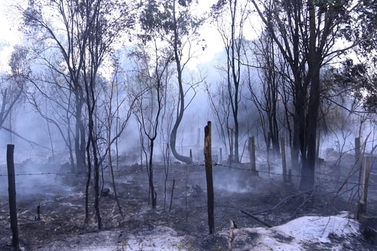 BTL Vùng Cảnh sát biển 4 kịp thời phát hiện, chữa cháy trên địa bàn