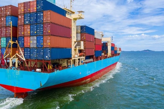Cước vận tải biển sẽ tăng 10% trong năm 2024