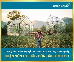 Bac A Bank ưu đãi lãi suất cho doanh nghiệp vay ngắn hạn