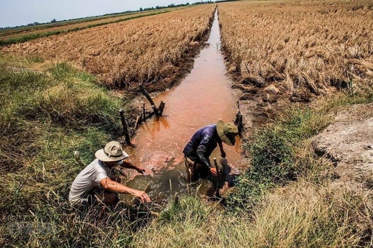 Thời tiết ngày 24/4: Đồng bằng sông Cửu Long thêm đợt xâm nhập mặn mới