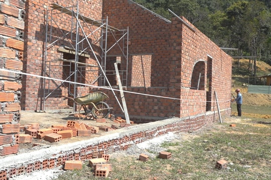 Xử phạt 3 cá nhân vi phạm trong lĩnh vực đất đai