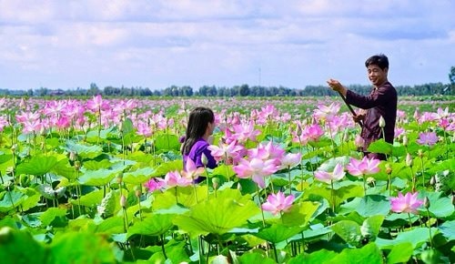 Nhiều hoạt động tại Lễ hội Sen Đồng Tháp lần thứ II năm 2024