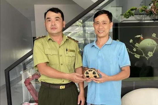 Nhiều cá thể rùa quý được người dân giao nộp