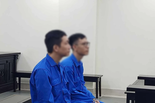 Sử dụng con dấu giả để bán đất, chiếm đoạt hàng chục tỷ đồng
