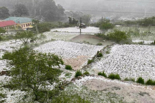 Hòa Bình: Mưa đá phủ trắng bản làng tại hai xã Hang Kia và Pà Cò