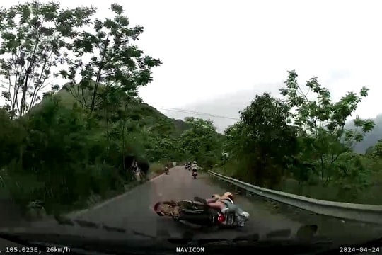 Du khách điều khiển xe máy vào cua tốc độ cao bị tai nạn