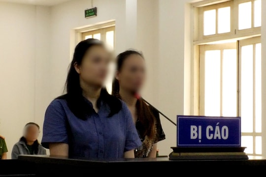 Tổ chức mang thai hộ, hai chị em lĩnh án