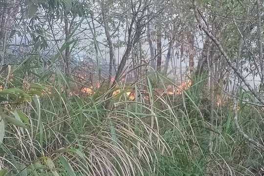 Cháy 10ha rừng tại dãy núi Tây Côn Lĩnh ở Hà Giang