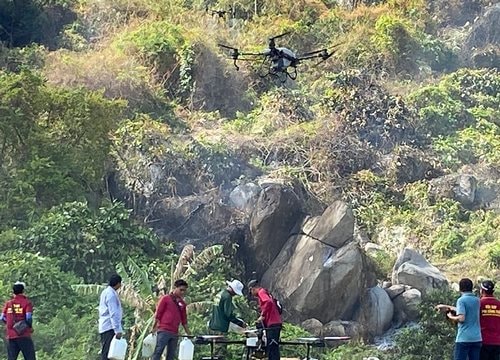 Khống chế đám cháy rừng trên núi Cô Tô và núi Dài