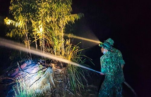 Cháy 400 ha rừng tràm ở tỉnh Kiên Giang