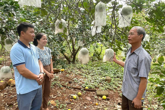 Sáng ngời tấm gương thương binh “tàn nhưng không phế”
