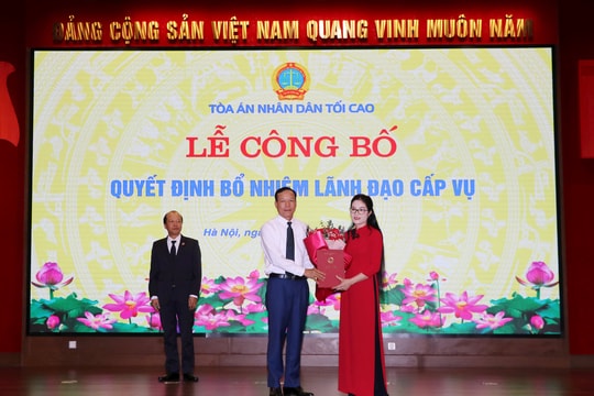 TANDTC bổ nhiệm chức vụ lãnh đạo cấp Vụ