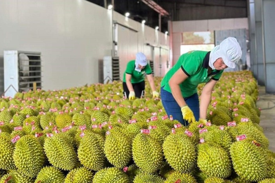 4 tháng đầu năm, xuất siêu nông lâm thủy sản tăng 71,5%