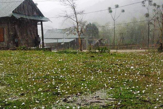 Nghệ An: Nhanh chóng khắc phục hậu quả do mưa đá ở huyện miền núi
