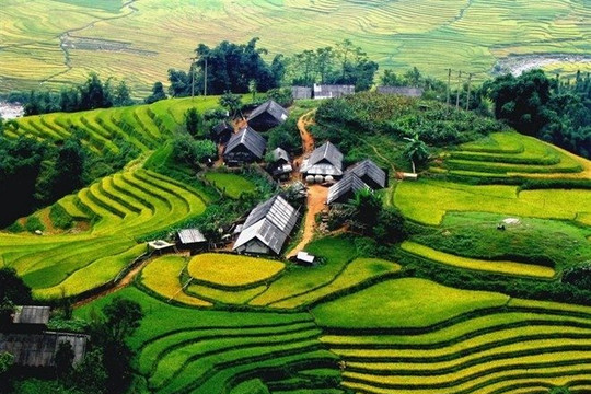 Đến 2030, miền núi phía Bắc thành vùng phát triển xanh