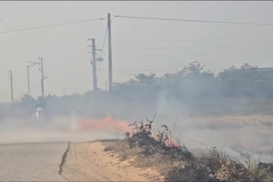Huế: Tình trạng đốt rơm rạ tràn lan trên địa bàn
