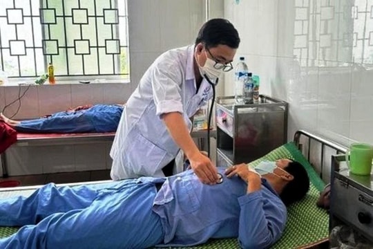 5 người phải nhập viện sau khi ăn cá nóc