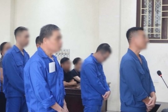 Giám đốc và nhiều nhân viên Trung tâm Đăng kiểm 17-02D lĩnh án