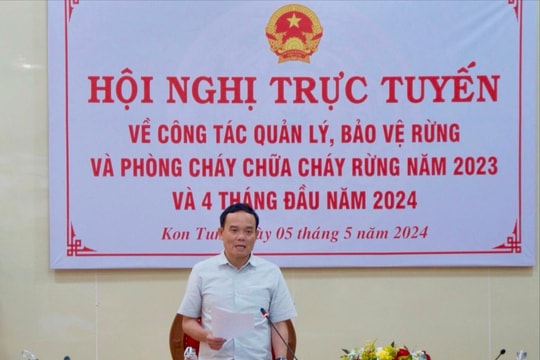 Phó Thủ tướng Trần Lưu Quang chủ trì Hội nghị về công tác quản lý bảo vệ rừng