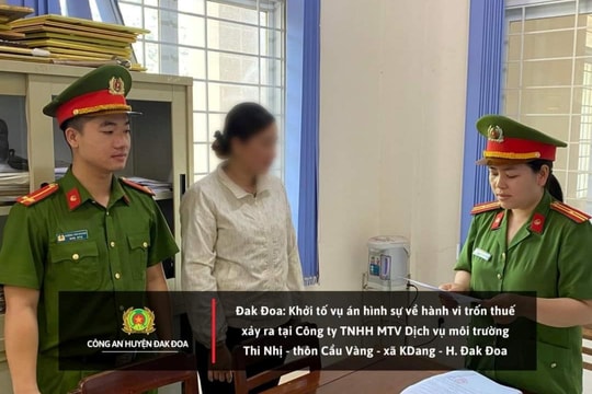 Giám đốc công ty môi trường bị khởi tố vì hành vi trốn thuế
