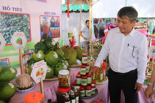 Bình Định: 'Trình làng' 105 sản phẩm nông nghiệp tại Ngày hội nông sản huyện Hoài Ân