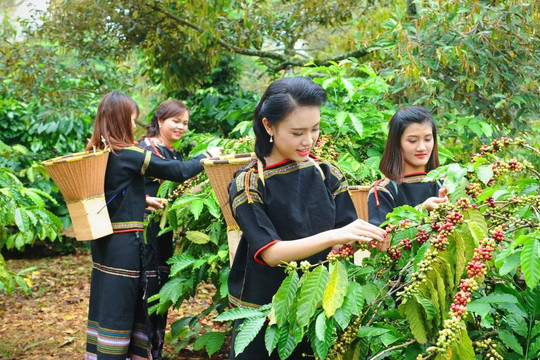 Thủ tướng phê duyệt quy hoạch vùng Tây Nguyên