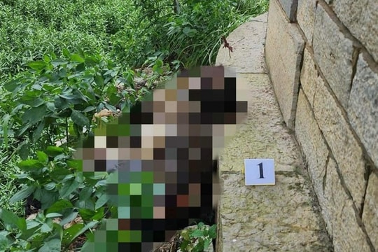 Phát hiện thi thể không nguyên vẹn, đã khô dưới chân cầu Long Biên