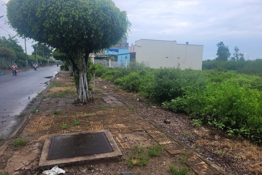 Bước đột phá trong xử lý án tham nhũng thông qua vụ án Khu dân cư Nọc Nạng