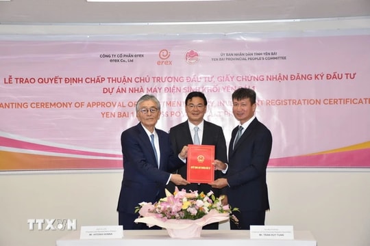 Tập đoàn Erex Nhật Bản sẽ đầu tư dự án máy điện sinh khối tại Yên Bái