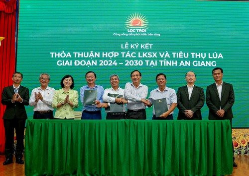 Tập đoàn Lộc Trời nợ tiền mua lúa của nông dân hơn 200 tỷ đồng