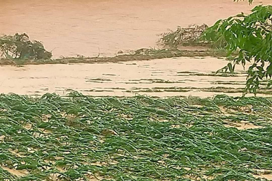 Nhiều nơi ở Lạng Sơn bị ngập úng hoa màu và sạt lở đường