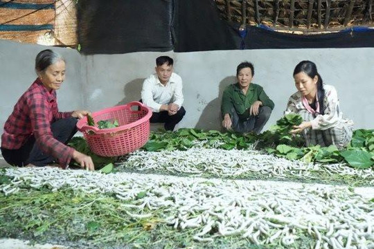 Yên Bái: Tạo sinh kế giúp người dân vươn lên thoát nghèo từ nguồn vốn tín dụng
