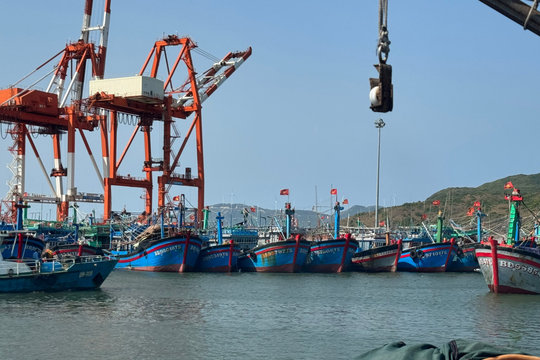 Yêu cầu xử lý tình trạng mất kết nối thiết bị giám sát hành trình trên tàu cá