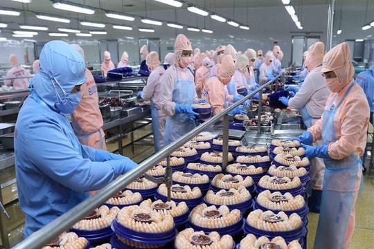 Cổ phiếu thủy sản, dệt may ''bật tăng''