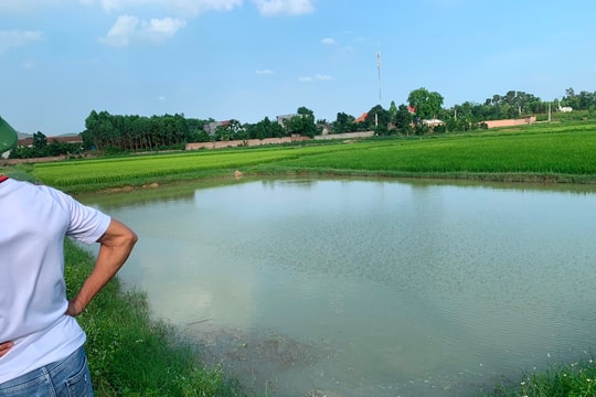 Hai nam sinh lớp 8 đuối nước thương tâm khi đi tắm ao