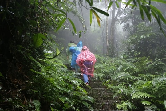 Thời tiết ngày 12/5: Bắc Bộ mưa dông trên diện rộng