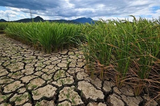 Thời tiết từ ngày 13/5 - 19/5: Hiện tượng El Nino khiến mùa mưa đến chậm tại Nam Bộ