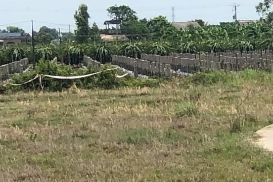 Phát hiện một thi thể đang phân hủy trong vườn thanh long