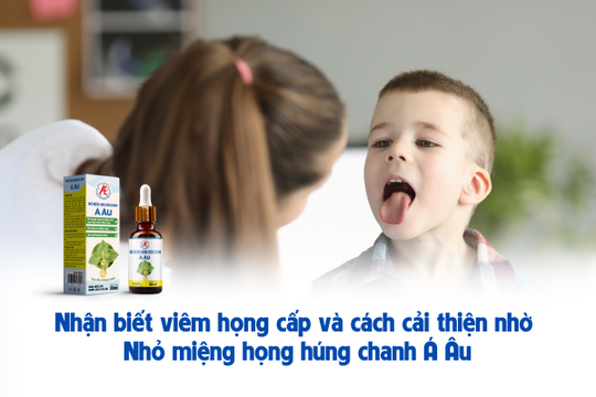 Nhận biết viêm họng cấp và cách cải thiện nhờ Nhỏ miệng họng húng chanh Á Âu