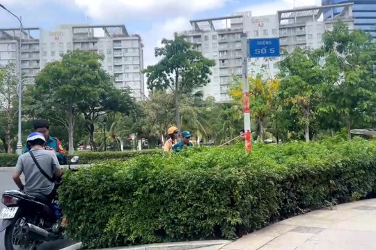 Nguyên nhân vụ 4 người thương vong ở khu đô thị TP.HCM