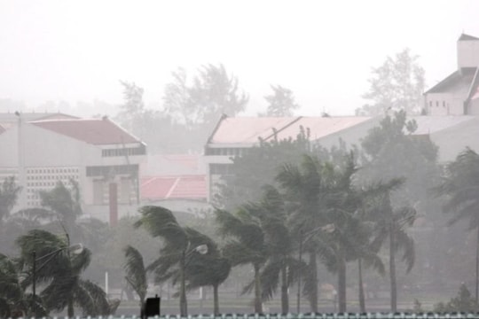 Thời tiết ngày 22/1: Miền Bắc tăng nhiệt, ban đêm trời rét