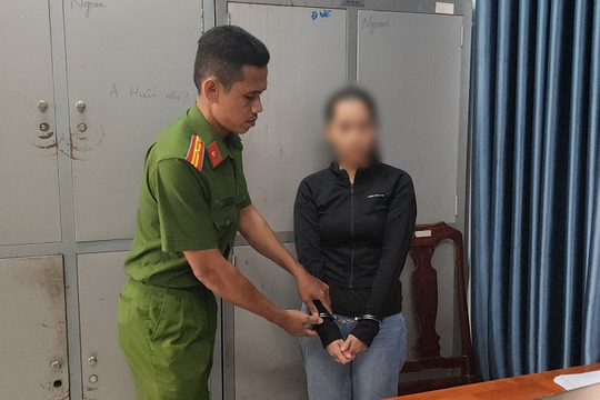 Lừa đảo chiếm đoạt trên 20 tỷ đồng, một phụ nữ bị bắt giam