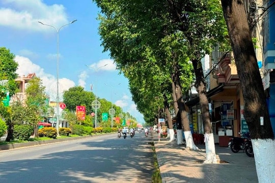 Quảng Ngãi cung cấp thông tin cho Bộ Công an về các dự án cây xanh, chỉnh trang đô thị
