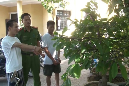 Bắt 3 đối tượng chuyên trộm mai cảnh ở Huế