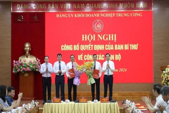 Công bố quyết định của Ban Bí thư về công tác cán bộ