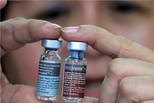 Bộ Y tế cấp phép vaccine sốt xuất huyết, zona thần kinh và phế cầu 23