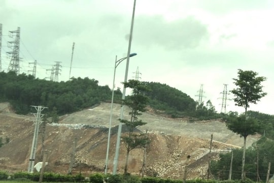 Doanh nghiệp phá 2,61 ha rừng tự nhiên